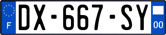 DX-667-SY