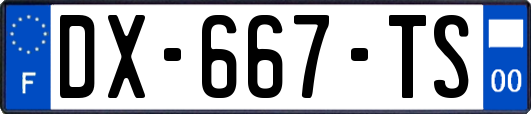 DX-667-TS