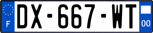 DX-667-WT