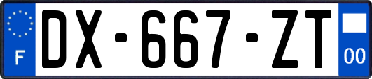 DX-667-ZT