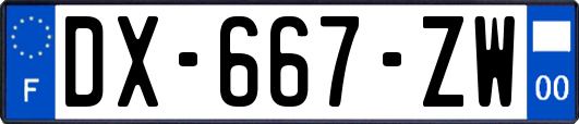 DX-667-ZW