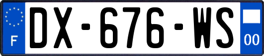 DX-676-WS