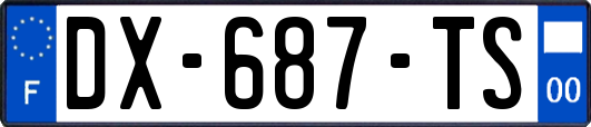 DX-687-TS