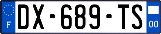 DX-689-TS