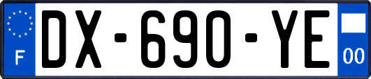 DX-690-YE