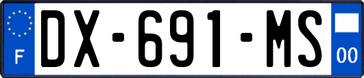 DX-691-MS
