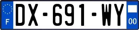 DX-691-WY