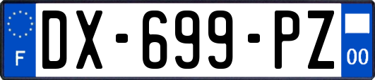 DX-699-PZ