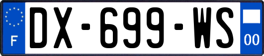DX-699-WS