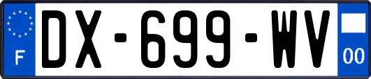 DX-699-WV