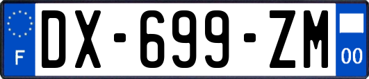 DX-699-ZM