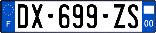 DX-699-ZS