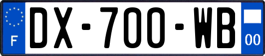 DX-700-WB