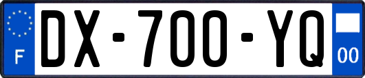 DX-700-YQ