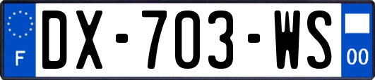 DX-703-WS