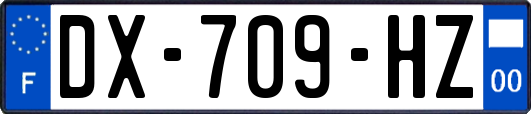 DX-709-HZ