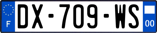 DX-709-WS