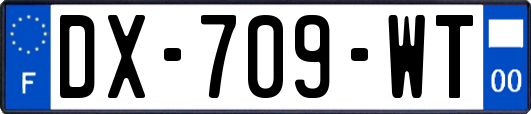 DX-709-WT