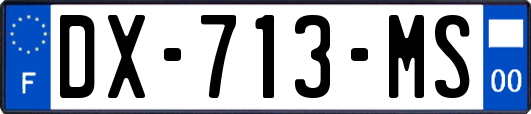 DX-713-MS