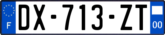 DX-713-ZT