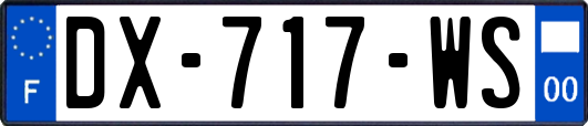 DX-717-WS