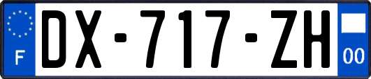 DX-717-ZH