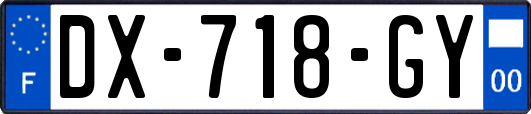 DX-718-GY