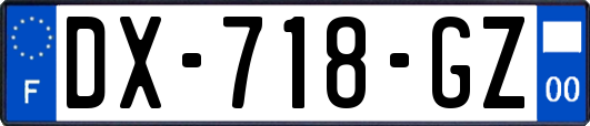 DX-718-GZ