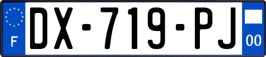 DX-719-PJ