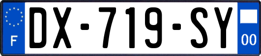 DX-719-SY