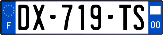 DX-719-TS
