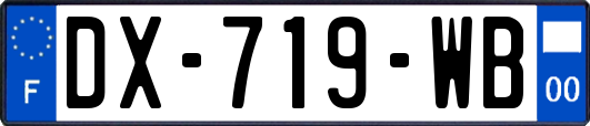 DX-719-WB