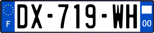 DX-719-WH