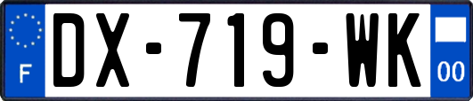 DX-719-WK