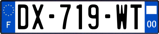 DX-719-WT