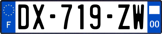 DX-719-ZW