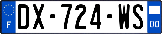 DX-724-WS