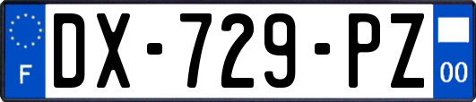DX-729-PZ