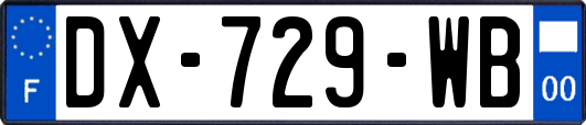 DX-729-WB