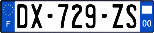 DX-729-ZS