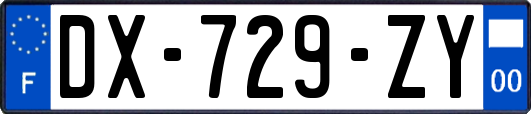 DX-729-ZY