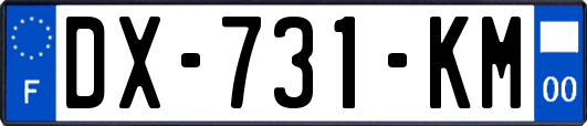DX-731-KM