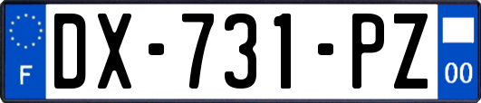 DX-731-PZ