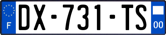 DX-731-TS