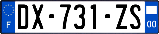 DX-731-ZS