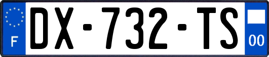 DX-732-TS