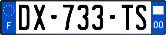 DX-733-TS