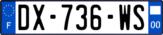 DX-736-WS