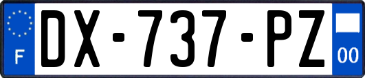 DX-737-PZ