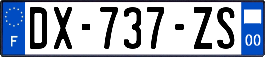 DX-737-ZS